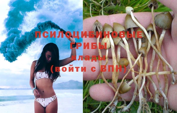 наркотики Алзамай